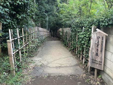 佐倉／ひよどり坂の入り口（看板） ひよどり坂,佐倉,看板の写真素材