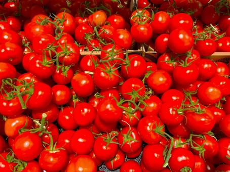 Tomatoes sold at the market, JPG Tomatoes sold at the market, JPG