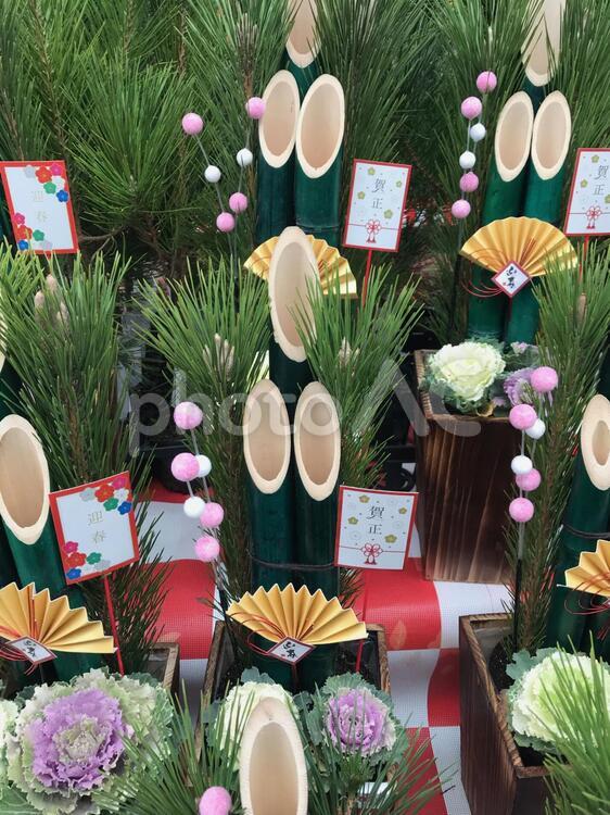 門松　イメージ 門松,正月,飾りの写真素材