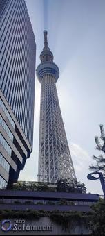 スカイツリー スカイツリー スカイツリ-,観光,東京観光の写真素材