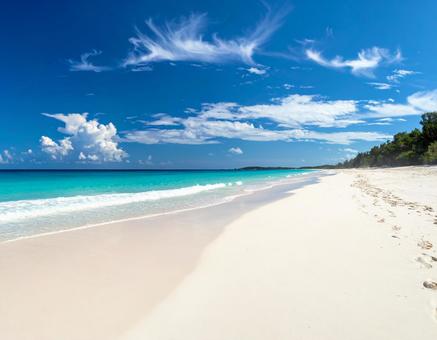 青空と白い砂浜が広がる夏の海 青空と白い砂浜が広がる夏の海の写真