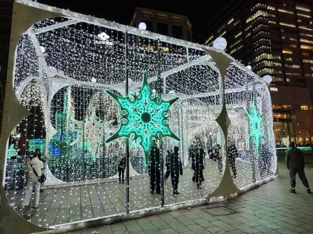 光のゲート　冬の幻想的イルミネーション イルミネーション,ホワイトイルミネーション,札幌の写真素材