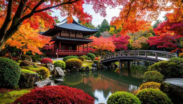 秋の紅葉 秋の紅葉の写真