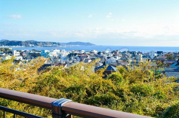 高台からの眺め　鎌倉 自然,森,木の写真素材