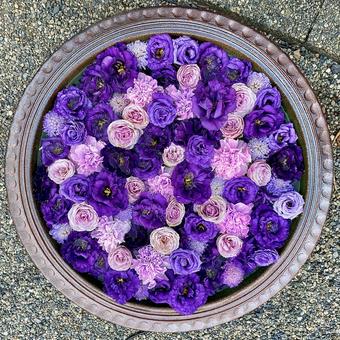 花手水 花手水の写真