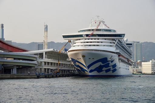 Anchored luxury cruise ship, JPG