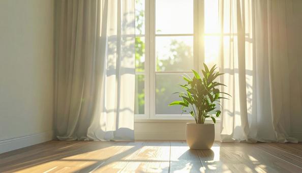 朝の日射しの写真