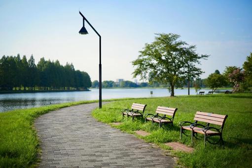 水元公園 水元公園の写真