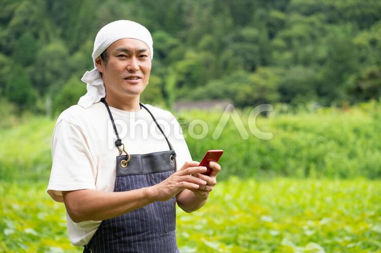 スマホで農業する男性 農業,スマホ,農家の写真素材