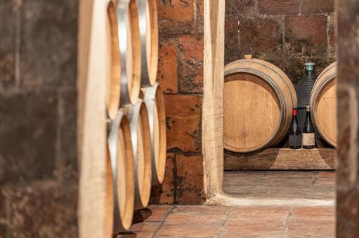 地下室の酒樽の写真