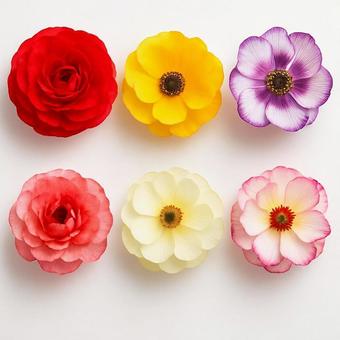 花 3×2グリッド配置 花 3×2グリッド配置の写真