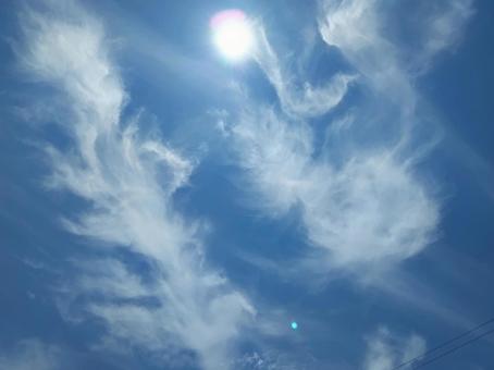 生き物のような不思議な雲 生き物のような不思議な雲の写真