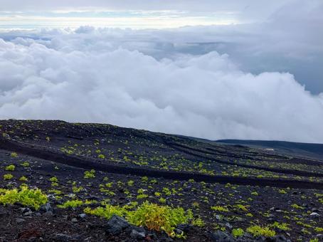 雲立ち込める富士山五合目付近 雲立ち込める富士山五合目付近 富士山,五合目,森林限界の写真素材