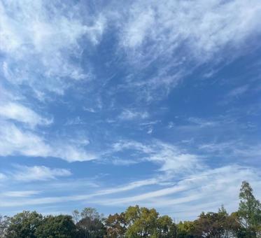 夏空 夏空の写真