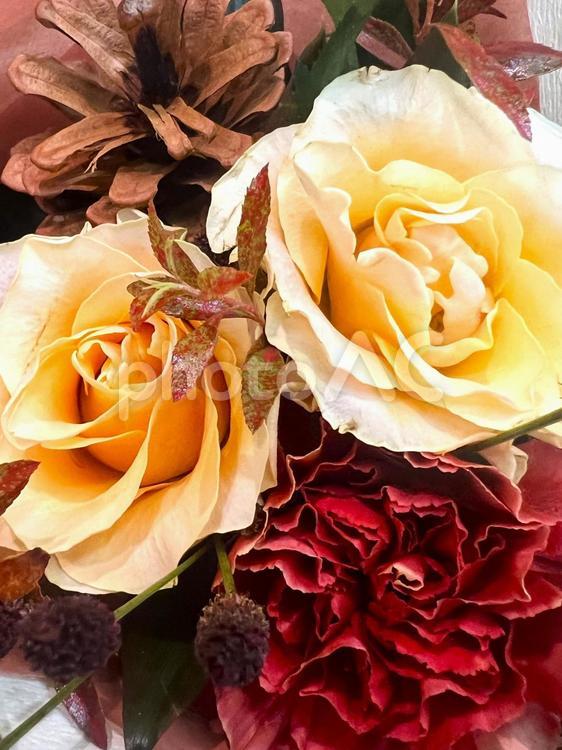 秋色のブーケ カーネーション,バラ,花の写真素材