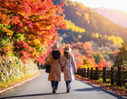 秋の紅葉の中を散歩 秋の紅葉の中を散歩の写真