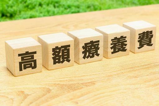 高額療養費の文字ブロック 高額療養費の文字ブロックの写真