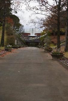 道 道の写真