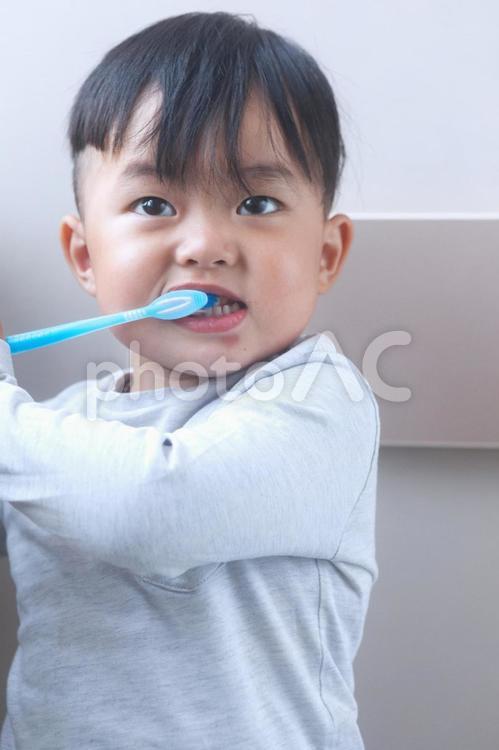 歯磨きをする男の子3 歯医者,患者,男の子の写真素材