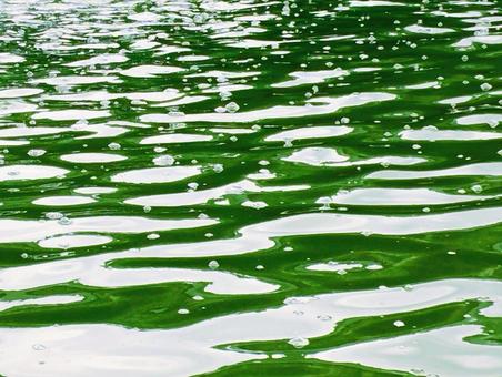 背景 水面,光,影の写真素材