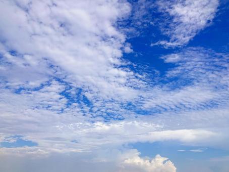 夏空 夏空の写真