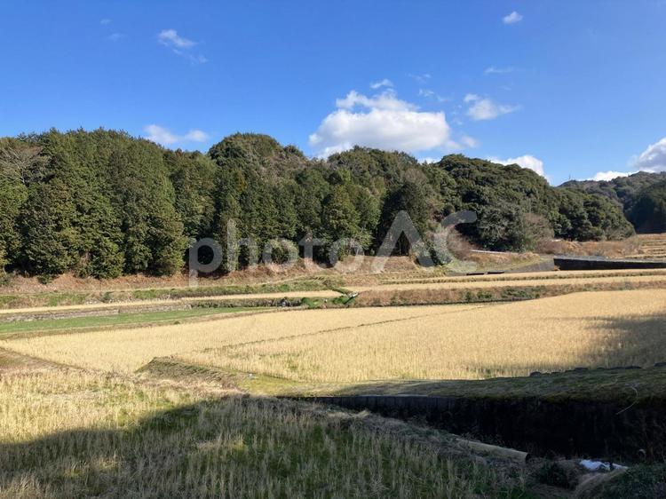 冬の田舎の田んぼと野山 空,青空,山の写真素材
