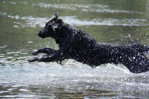 SPLASH!! SPLASH!!の写真