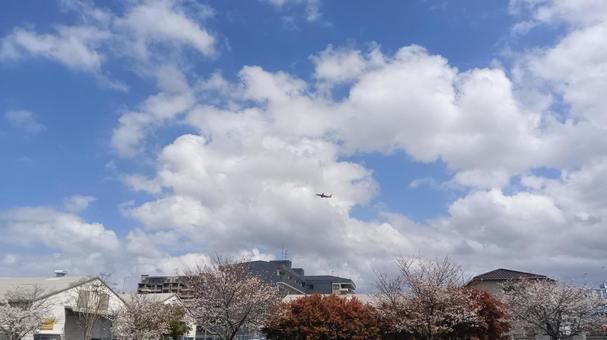 博多区 津屋公園 博多区 津屋公園の写真
