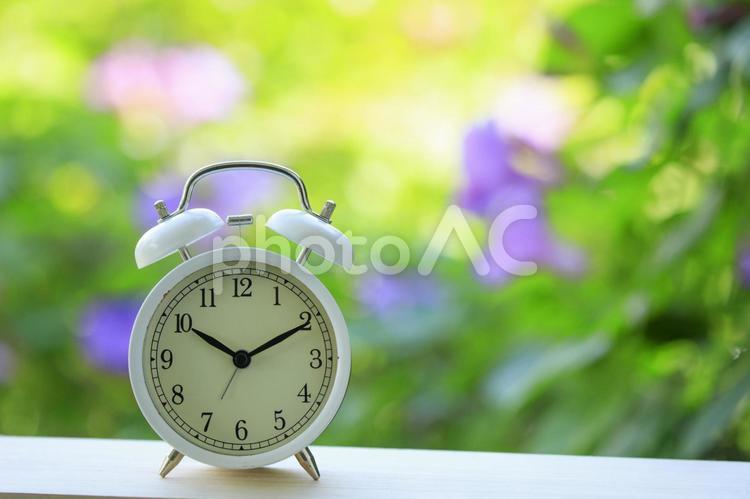 目覚まし時計と緑背景 時間,目覚まし,目覚まし時計の写真素材