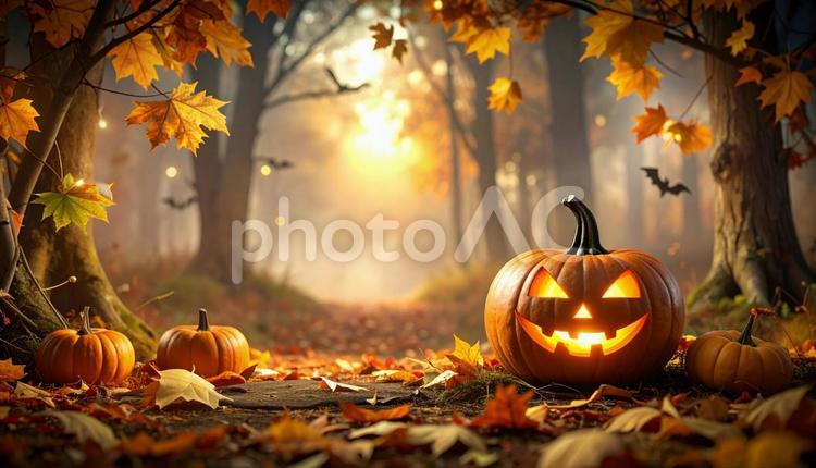 秋の森とジャック・オ・ランタン　もみじ ハロウィン,カボチャ,ジャックオランタンの写真素材