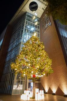 寝屋川市サービスゲートのクリスマスツリー 夜景,夜,クリスマスの写真素材