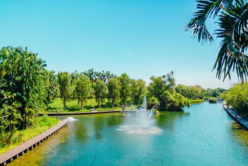 【シンガポール】ガーデンズバイザベイ 【シンガポール】ガーデンズバイザベイ シンガポール,ベイフロント,singaporeの写真素材