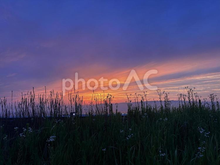 雨の日の大屋根リングからの夕日 雨上がり,夕日,大阪関西万博の写真素材