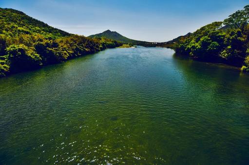 橋の上から5月の佐波川 橋の上から5月の佐波川 佐波川,橋の上から,眺めの写真素材