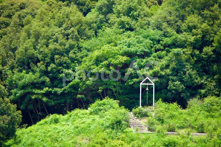[愛知県]あじさいの里　チャレンジの鐘 あじさい,紫陽花,開花の写真素材