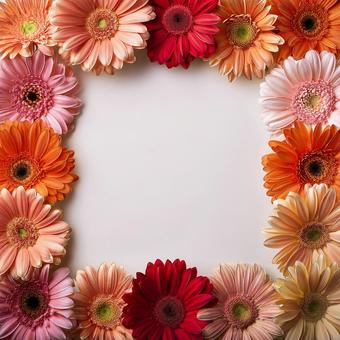 花のフレーム 花のフレームの写真