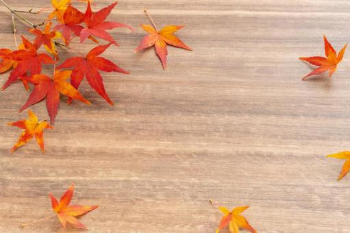 天然の紅葉したモミジの葉の木目フレーム 天然の紅葉したモミジの葉の木目フレーム 紅葉,秋,木目の写真素材