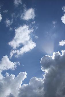 夏雲 夏雲の写真