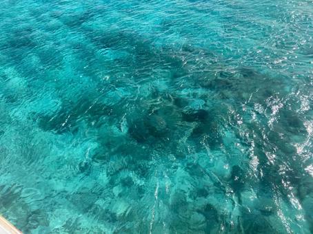 透明度の高い海の水面 透明度の高い海の水面 海,水面,透明の写真素材