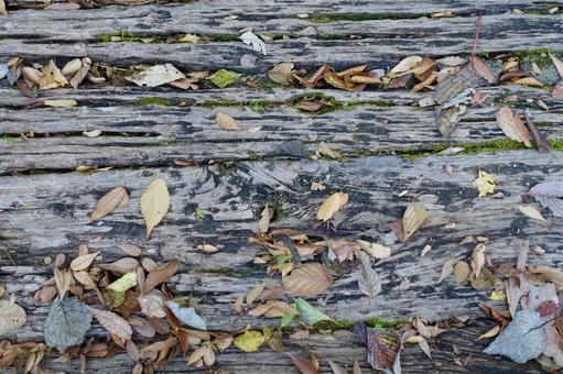 古い木の板に落ちる枯れ葉 枯葉,落葉,葉の写真素材