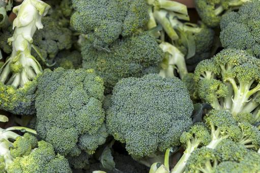 ブロッコリー2(田原市) ブロッコリー2(田原市) ブロッコリー,緑,農業の写真素材