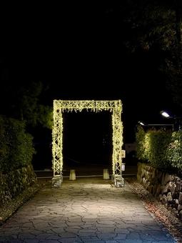 紫式部公園　福井の夜のイルミネーション イルミネーション,イベント,冬まつりの写真素材