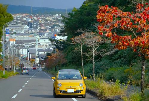 紅葉の坂道 紅葉の坂道 紅葉,車,秋の写真素材