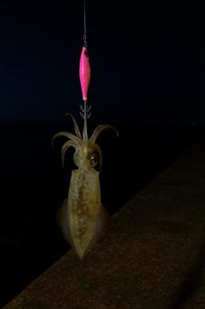 分かってはいたんだが、欲望に負けました 分かってはいたんだが、欲望に負けましたの写真