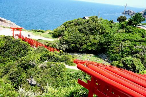 山口県元乃隅神社 山口県元乃隅神社の写真