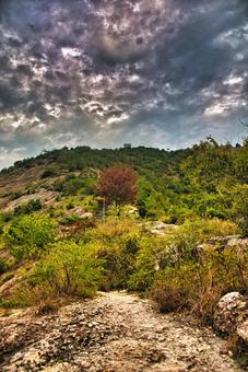 高御位山の写真