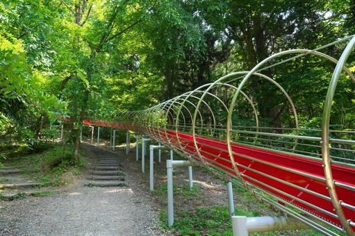 森の中のすべり台 森の中のすべり台 滑り台,すべり台,遊具の写真素材