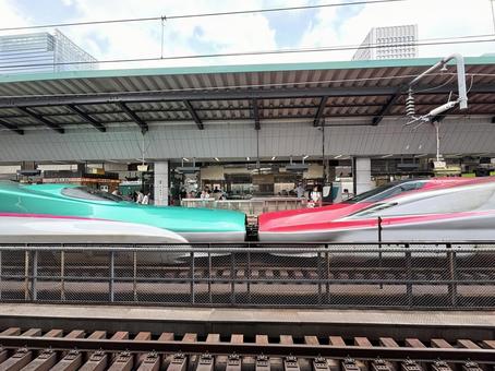 東京駅に停車中の「はやぶさ」と「こまち」 東京駅に停車中の「はやぶさ」と「こまち」 東北新幹線,北海道新幹線,秋田新幹線の写真素材