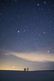 Parent and child tree and starry sky, JPG Parent and child tree and starry sky, hokkaido, biei, starry sky, JPG