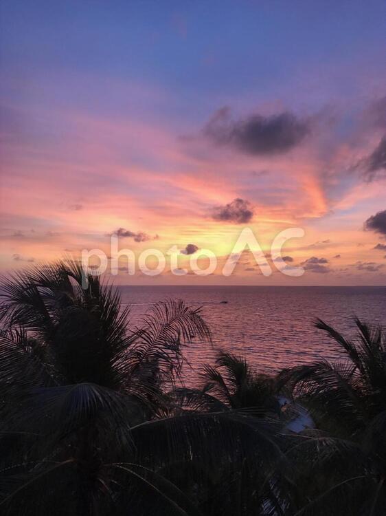 南国の夕焼け 夕焼け,モルディブ,空の写真素材